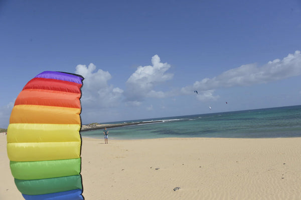 Spiderkites Amigo 2.05 Rainbow