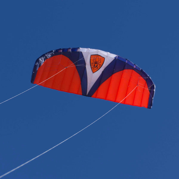 Spiderkites Wasabi 2.4