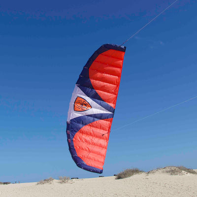 Spiderkites Wasabi 2.4