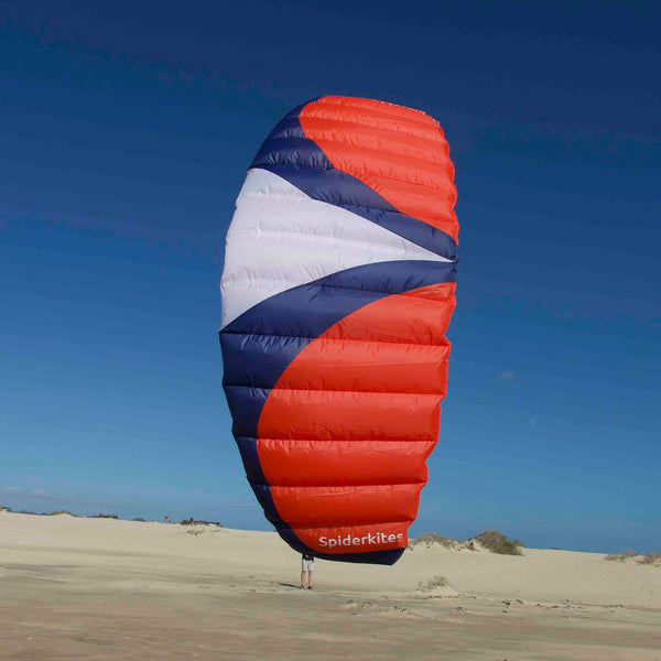 Spiderkites Wasabi 2.4