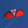 Spiderkites Wasabi 2.4