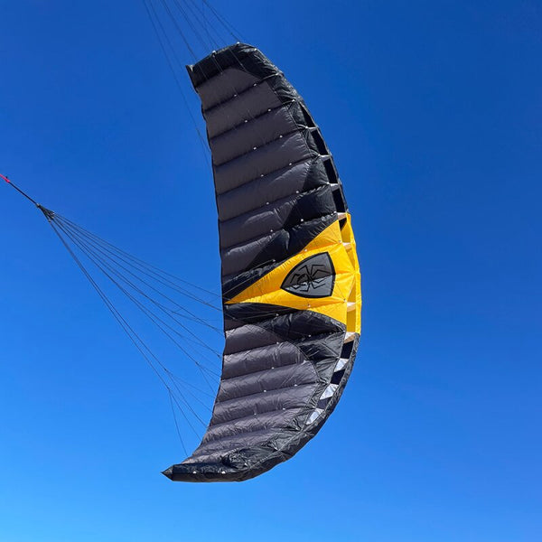 Spiderkites Wasabi 2.8