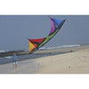 Spiderkites Shiva 2024 Rainbow