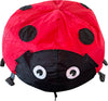 Spiderkites Marini