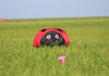 Spiderkites Marini