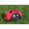 Spiderkites Marini