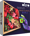 Okto Passion