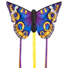 HQ Butterfly Kite R Display