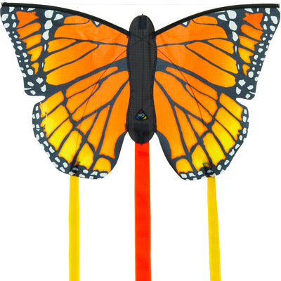 HQ Butterfly Kite R Display