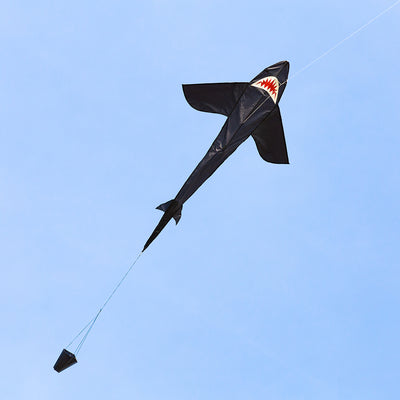 HQ Shark Kite 5