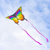 HQ Butterfly Kite Rainbow