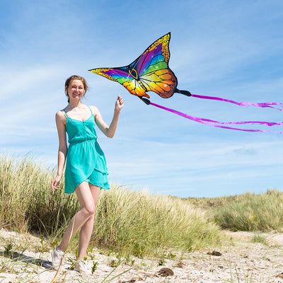 HQ Butterfly Kite Rainbow