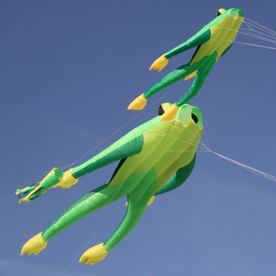 Wolkensturmer Fritz the Frog XL