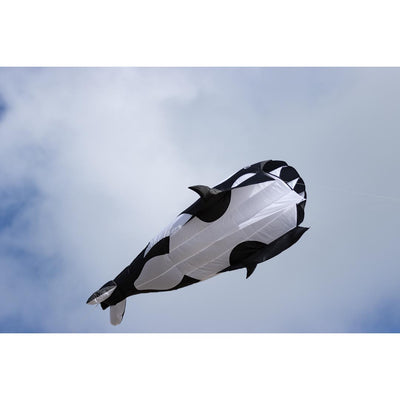 HQ Parafoil Kite Orca