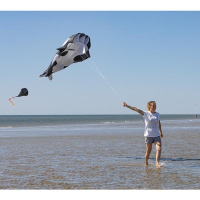 HQ Parafoil Kite Orca