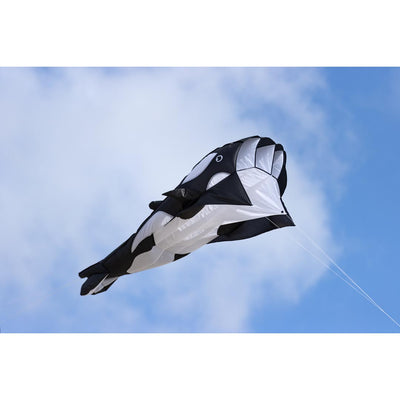 HQ Parafoil Kite Orca