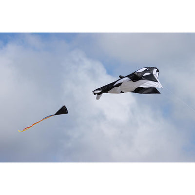 HQ Parafoil Kite Orca