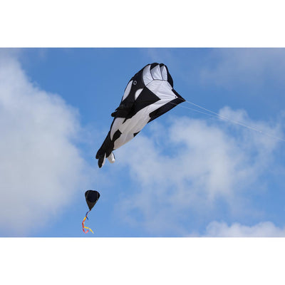 HQ Parafoil Kite Orca