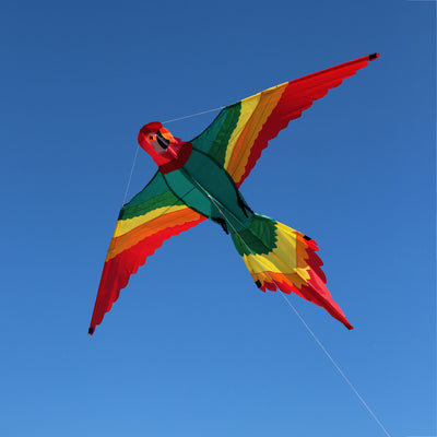 Wolkensturmer Pablo Parrot