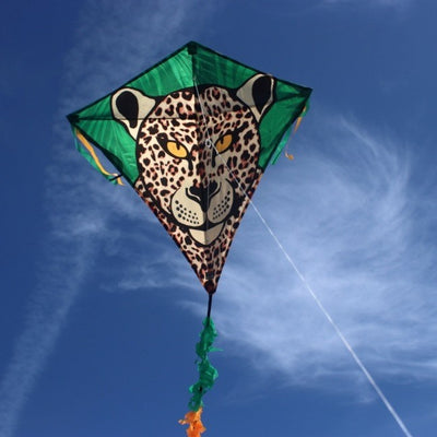 Wolkensturmer Eddy Leopard