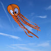 Wolkensturmer Olli Octopus