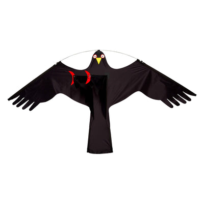 Wolkensturmer Black Bird