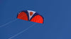 Spiderkites Wasabi 2.4