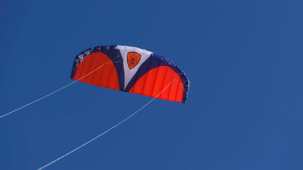 Spiderkites Wasabi 2.4