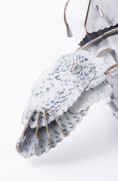 Makebug Snowy owl