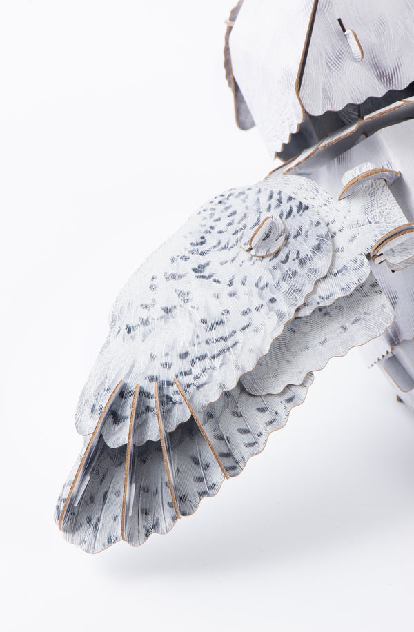 Makebug Snowy owl