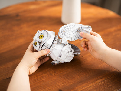 Makebug Snowy owl
