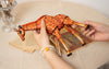 Makebug Giraffe