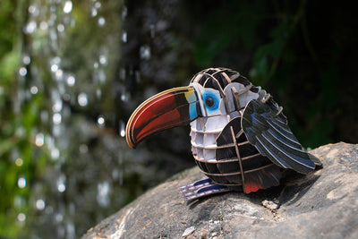 Makebug Red-Billed Toucan