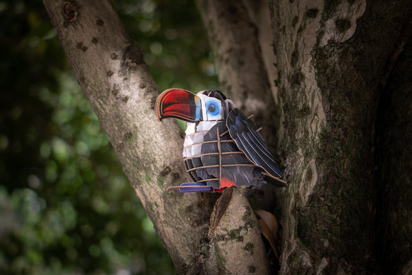 Makebug Red-Billed Toucan