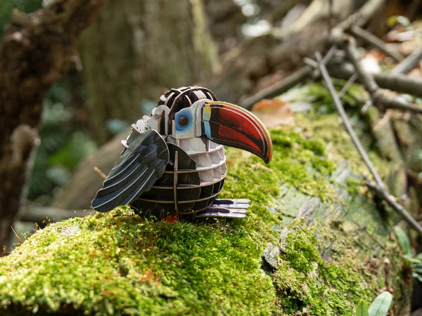 Makebug Red-Billed Toucan