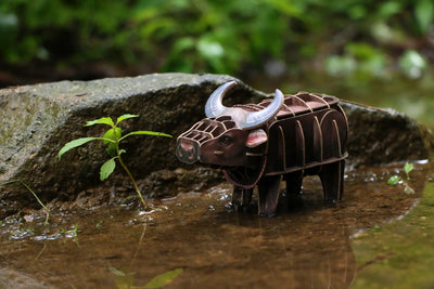 Makebug Water Buffalo