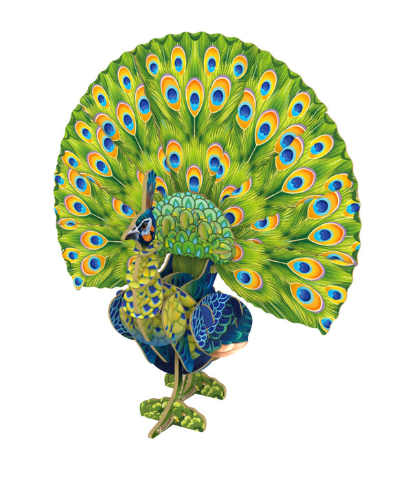 Makebug Green Peafowl
