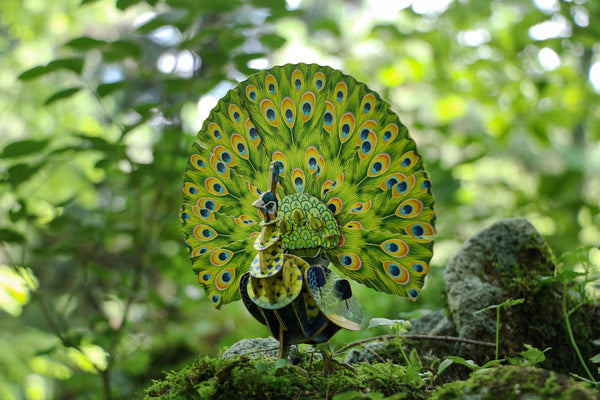 Makebug Green Peafowl