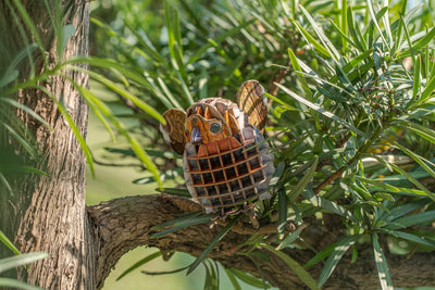 Makebug Robin