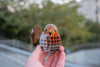 Makebug Robin