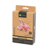 Makebug Sinoceratops