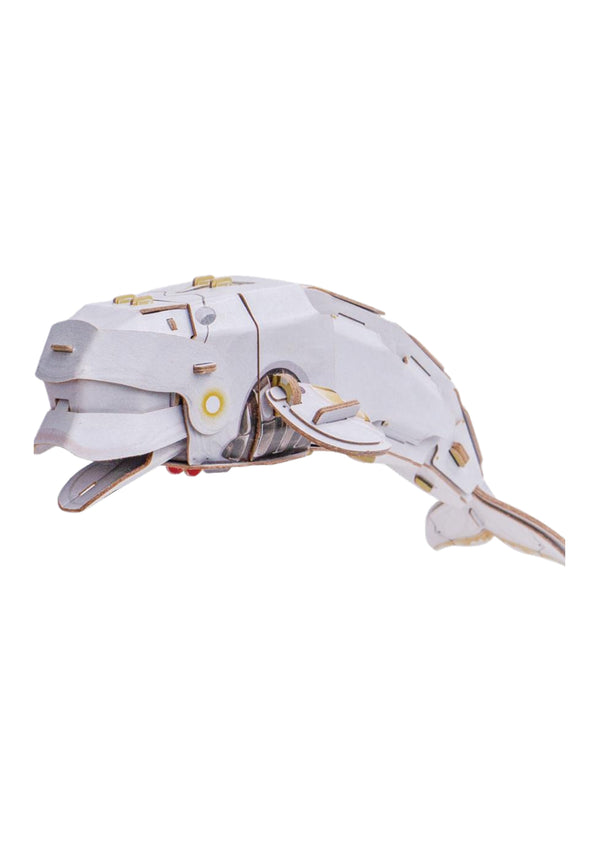 Makebug Beluga Whale