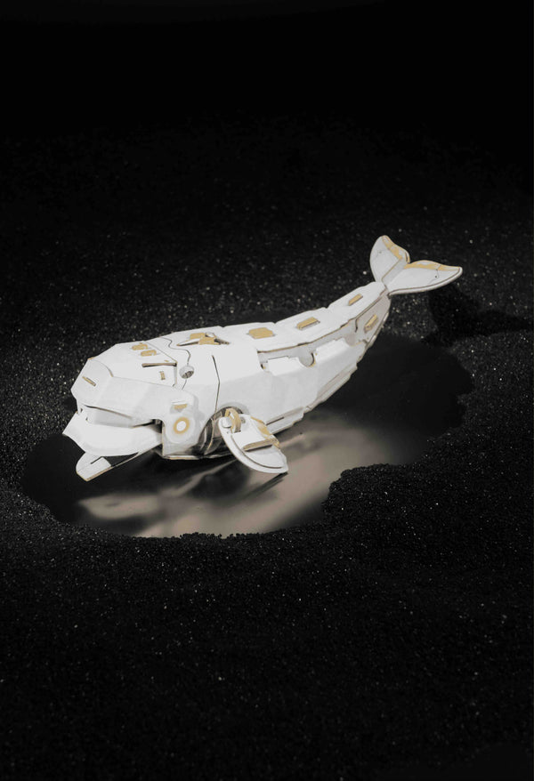 Makebug Beluga Whale