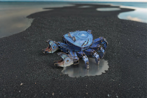 Makebug Stone Crab