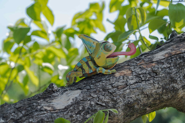 Makebug Velied Chameleon