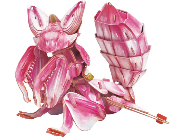 Makebug Orchid Mantis