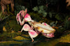 Makebug Orchid Mantis