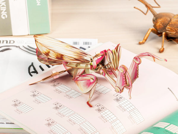 Makebug Orchid Mantis