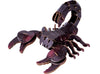 Makebug Rainforest Scorpion