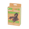 Makebug Rainforest Scorpion